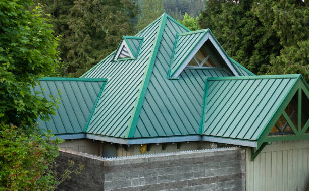 Best Sheet Metal Roofing  in Forest Hills, MI