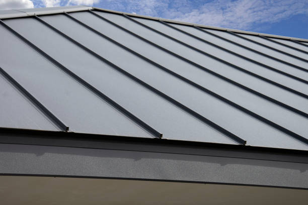 Best Asphalt Shingle Roofing  in Forest Hills, MI