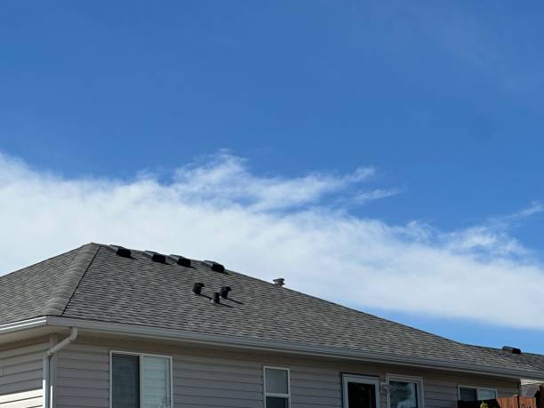 Best Green or Eco-Friendly Roofing Solutions  in Forest Hills, MI
