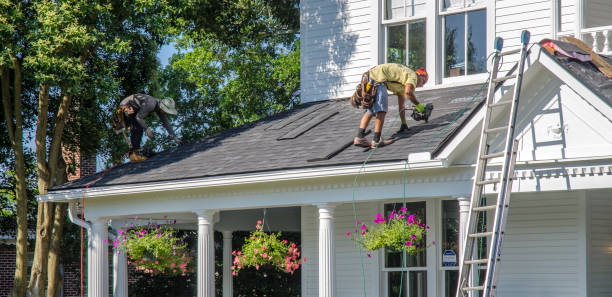Best Emergency Roof Repair Services  in Forest Hills, MI
